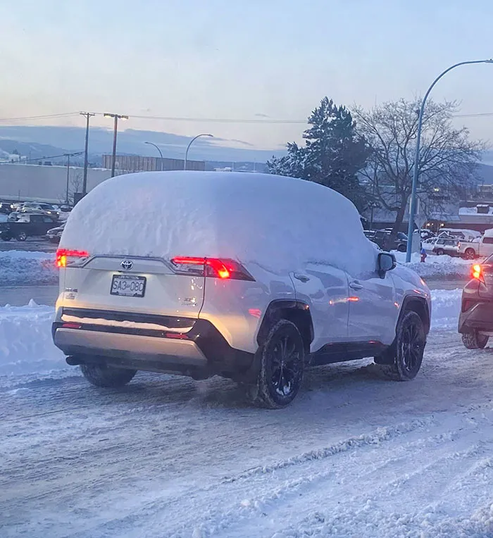 Meanwhile Here In Victoria