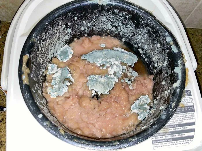 Es de mi compañero de piso. Se niega a limpiarlo o a tirarlo, y ahí, está, en la cocina que compartimos