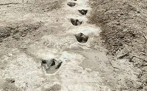 50 Times People And Archaeologists Stumbled Upon Interesting Finds From The Past And Had To Share