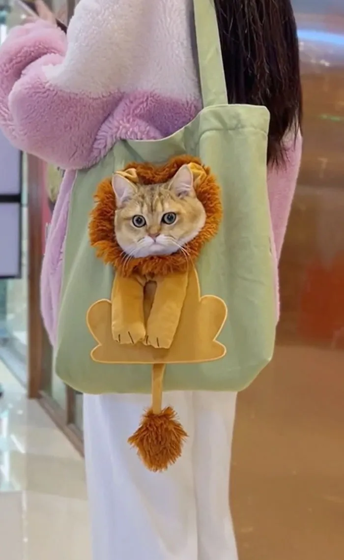 I Could Really Use A Bag Like That