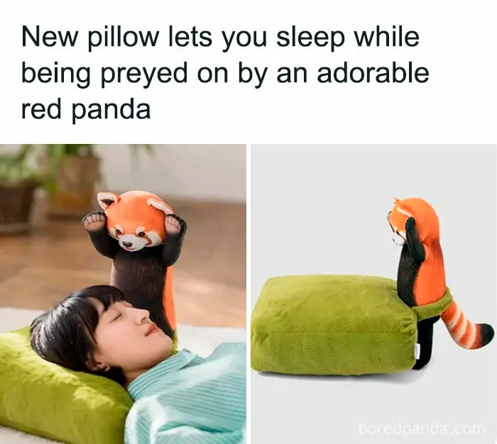 Hey, This Looks Cute