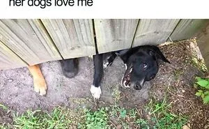 50 Funny Memes That You Might Find Painfully Relatable