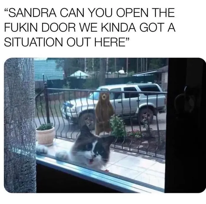 50 Funny Memes That You Might Find Painfully Relatable