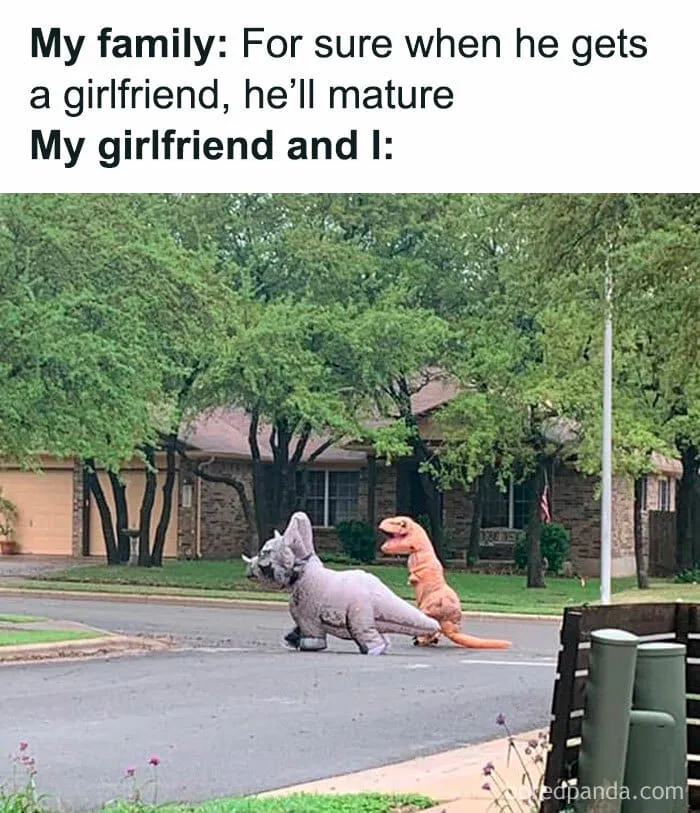 50 Funny Memes That You Might Find Painfully Relatable