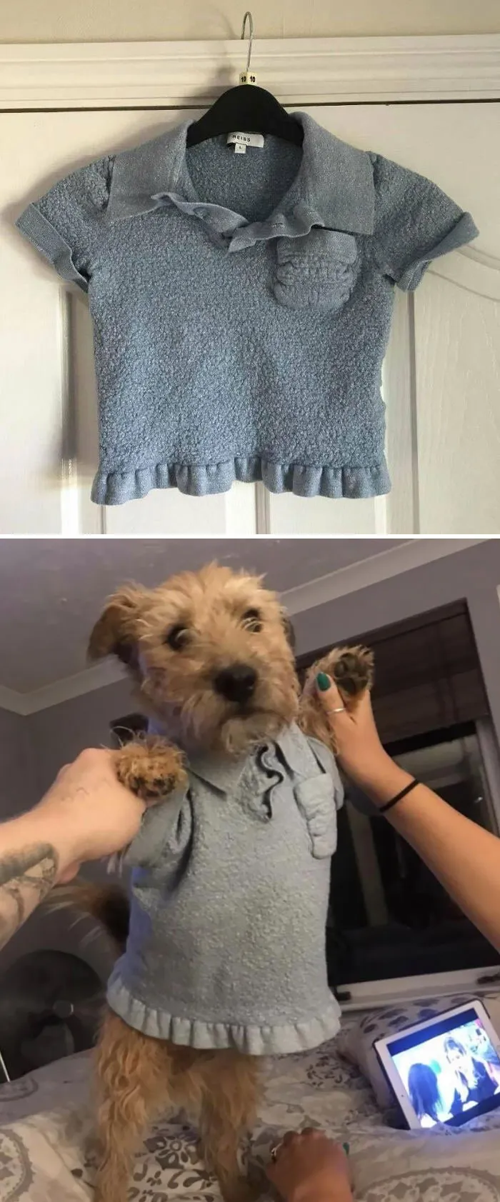 Shrunk My Favorite Top But There Was A Silver Lining