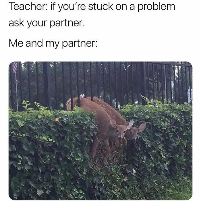 50 Relatable Memes That Range From Lighthearted To Ones That Hit Below The Belt