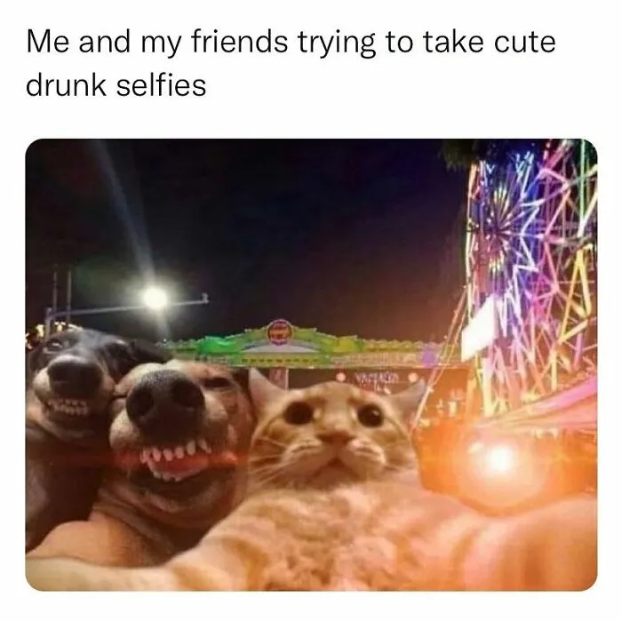 50 Relatable Memes That Range From Lighthearted To Ones That Hit Below The Belt