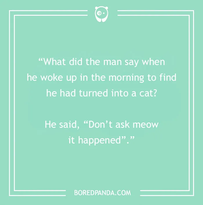 Text on a teal background with a morning joke about a man turning into a cat, featuring a pun on "meow".