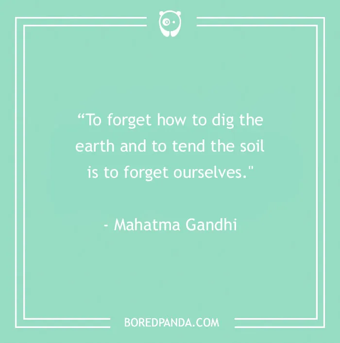 141 Nature Quotes To Help You Appreciate The Outdoors
