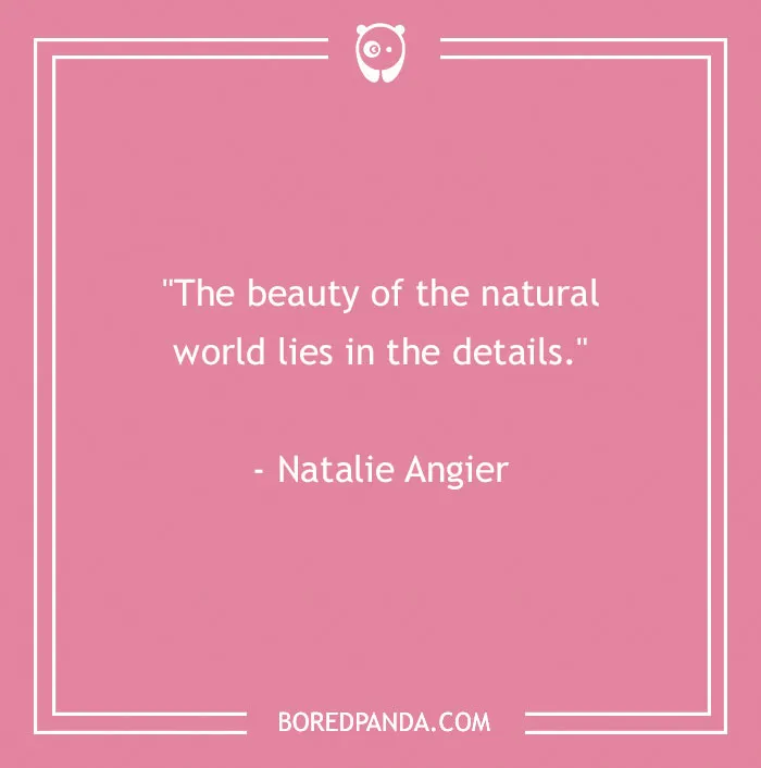 141 Nature Quotes To Help You Appreciate The Outdoors