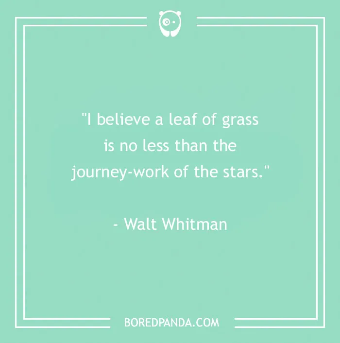 141 Nature Quotes To Help You Appreciate The Outdoors