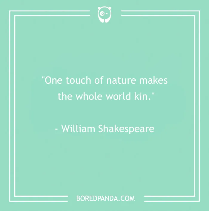 141 Nature Quotes To Help You Appreciate The Outdoors