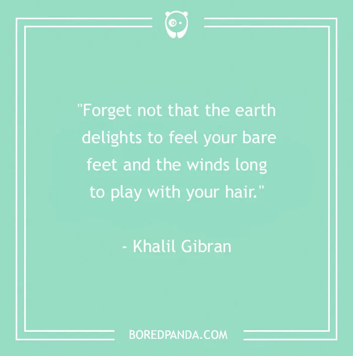 141 Nature Quotes To Help You Appreciate The Outdoors