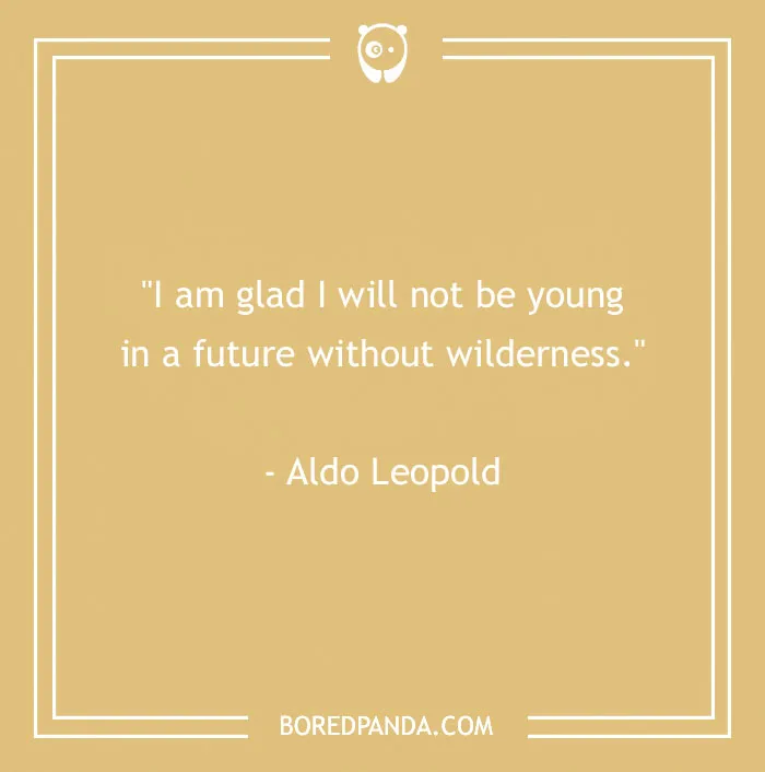 141 Nature Quotes To Help You Appreciate The Outdoors