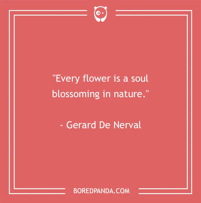 141 Nature Quotes To Help You Appreciate The Outdoors
