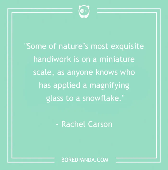 141 Nature Quotes To Help You Appreciate The Outdoors