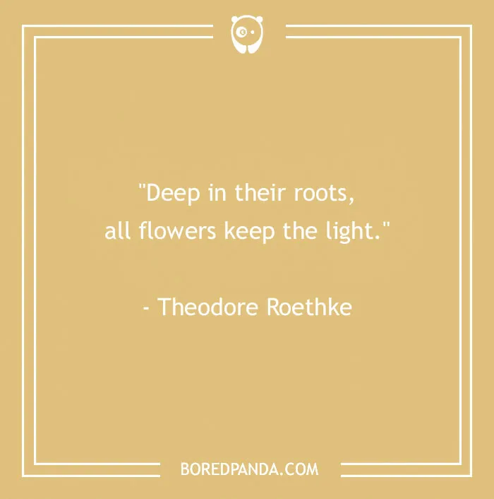 141 Nature Quotes To Help You Appreciate The Outdoors