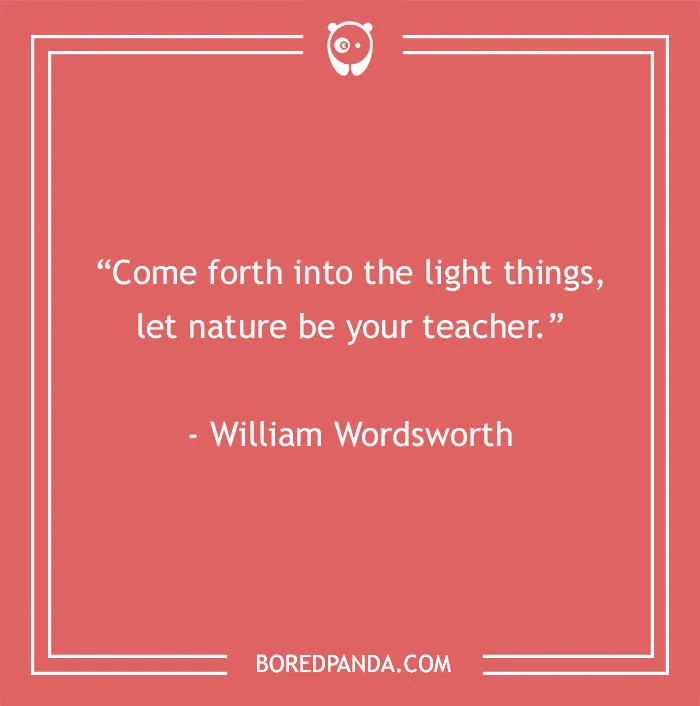 141 Nature Quotes To Help You Appreciate The Outdoors