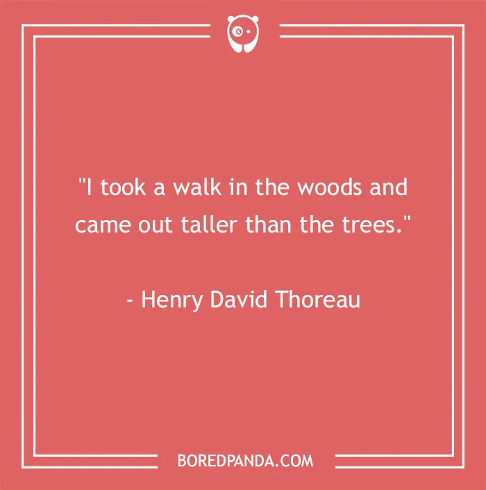 141 Nature Quotes To Help You Appreciate The Outdoors