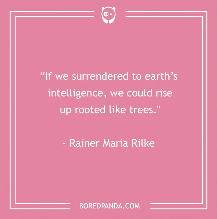 141 Nature Quotes To Help You Appreciate The Outdoors