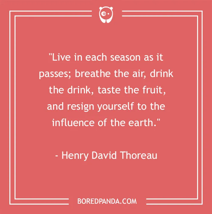 141 Nature Quotes To Help You Appreciate The Outdoors