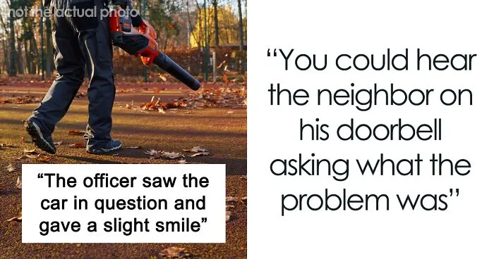Neighbor Calls Police Because Of A Few Leaves, Regrets It After This Guy Gets Revenge