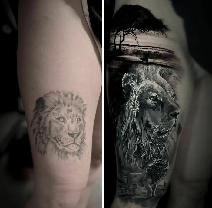 Lion tattoo upgrade from basic outline to detailed realism, featuring a landscape.