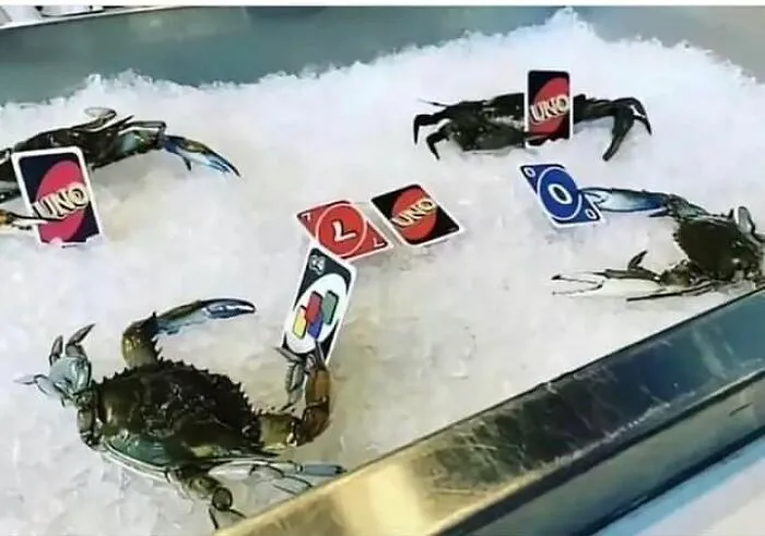 40 Imágenes inexplicables que no necesitan contexto para hacerte reír