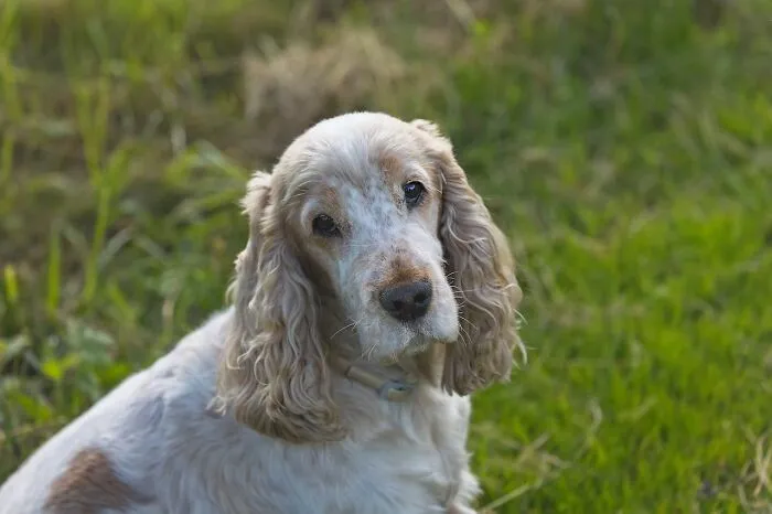 30 Of The Most Innocent-Looking Things That Could Have You Fighting For Your Life In Seconds