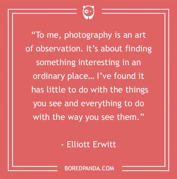 144 Inspiring Photography Quotes To Pause And Take A Photo