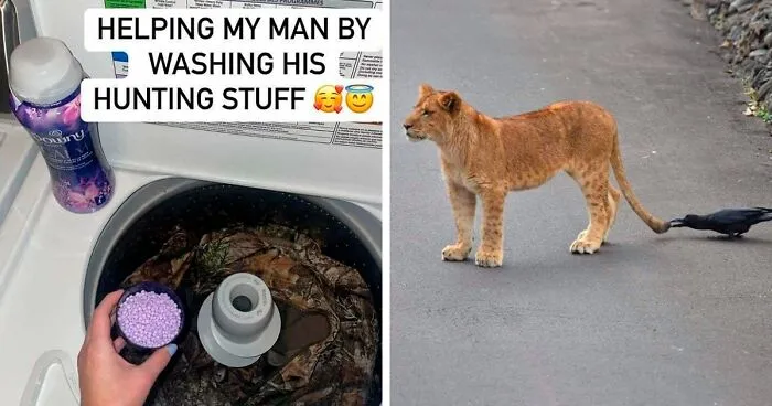 "Photos Taken Before Disaster": 45 Pics That Foreshadow Unfortunate Events
