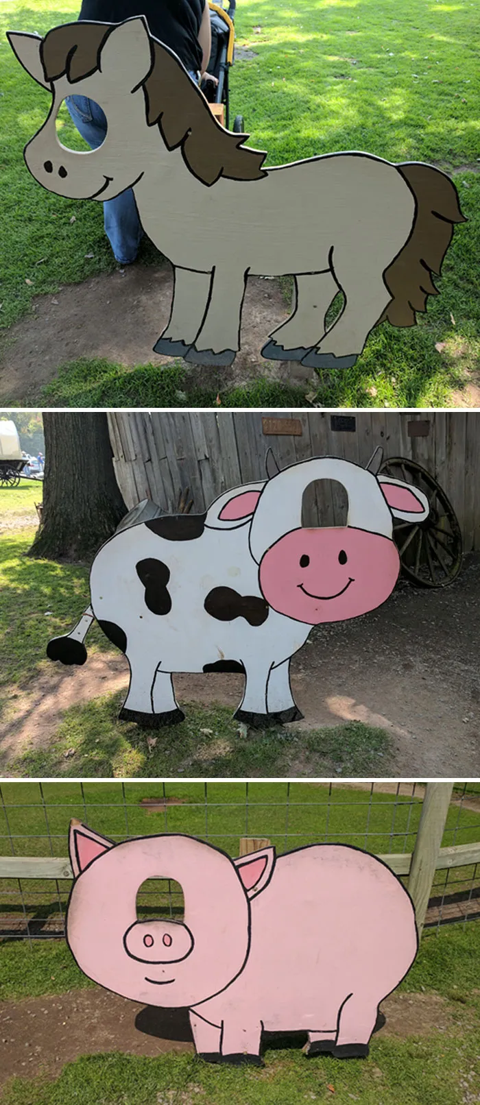 Our Local Wildlife Shelter Has A Weird Idea About How Photo Cutouts Are Built