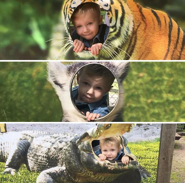 This Isn't How Animal Faces Work, I'm Sure