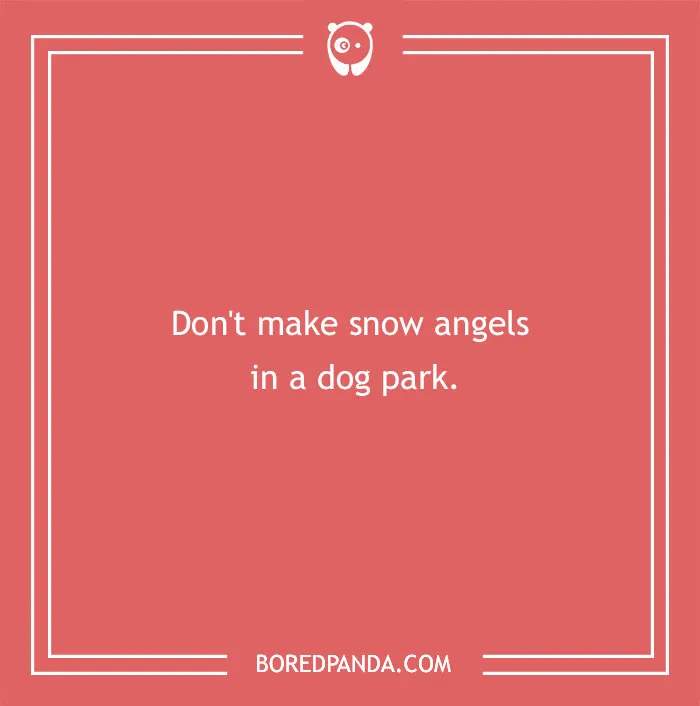 Advice about making snow angels in a dog park