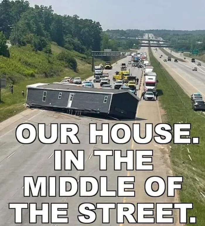 50 ‘Things In Places They Shouldn't Be’ To Make Your Day Better (New Pics)