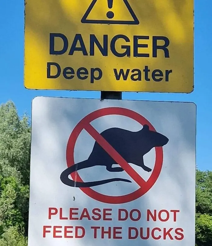 50 ‘Things In Places They Shouldn't Be’ To Make Your Day Better (New Pics)