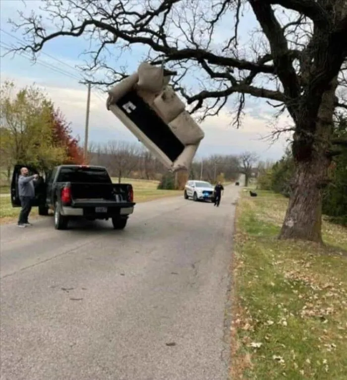 50 ‘Things In Places They Shouldn't Be’ To Make Your Day Better (New Pics)