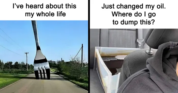 50 ‘Things In Places They Shouldn't Be’ To Make Your Day Better (New Pics)