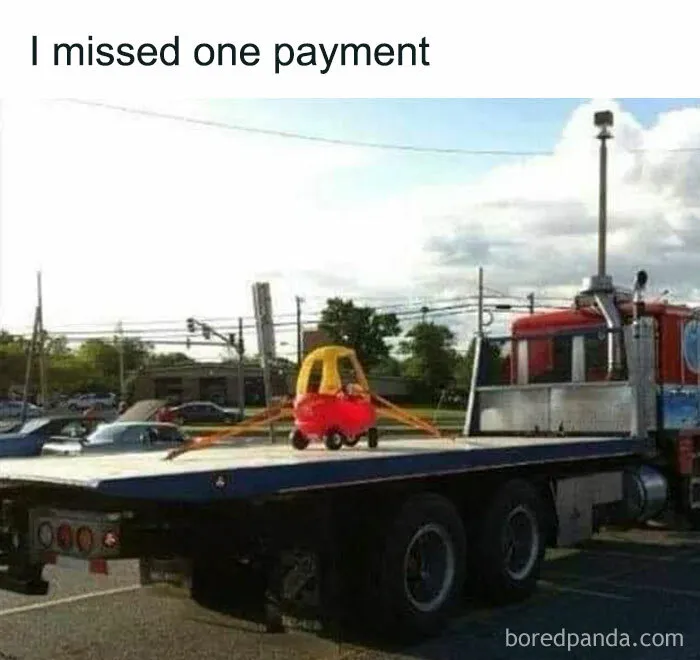 50 ‘Things In Places They Shouldn't Be’ To Make Your Day Better (New Pics)