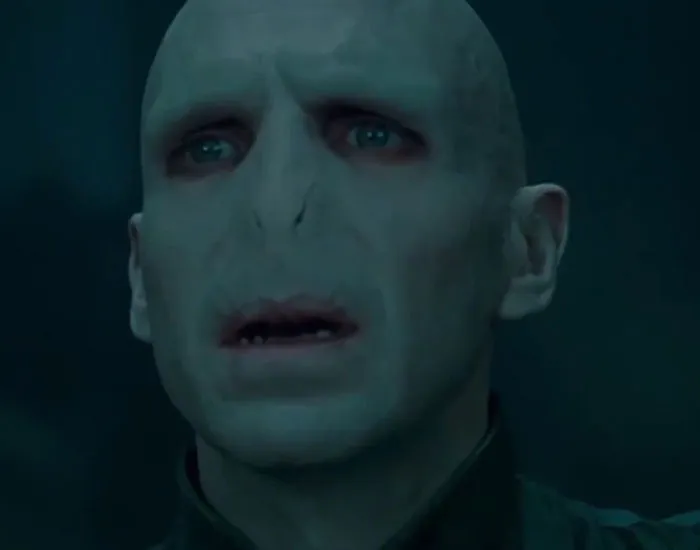 Ralph Fiennes In "Harry Potter"