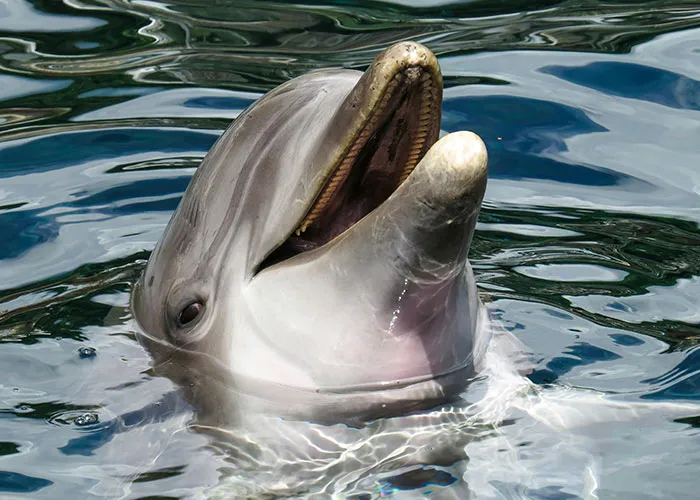 30 People Share The Most Hard-To-Believe Facts That Are Actually True