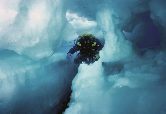Someone Asks What's The Scariest Thing In The Ocean That Has Photo Evidence, And 30 People Deliver