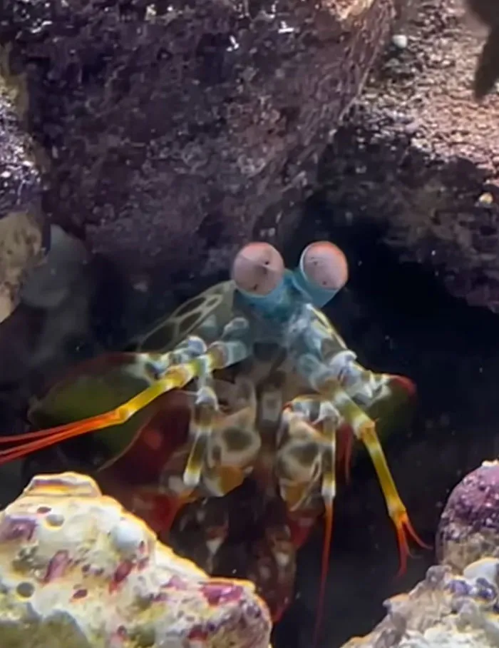 Someone Asks What's The Scariest Thing In The Ocean That Has Photo Evidence, And 30 People Deliver
