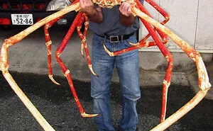 Someone Asks What's The Scariest Thing In The Ocean That Has Photo Evidence, And 30 People Deliver