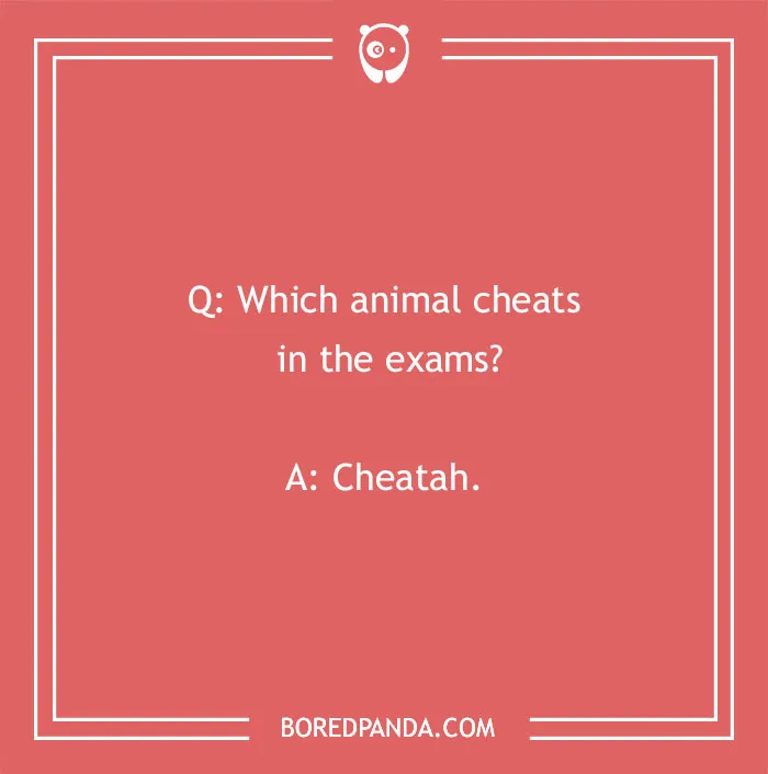 A funny school joke about an animal cheating in exams, a cheetah, for kids, back to school humor.