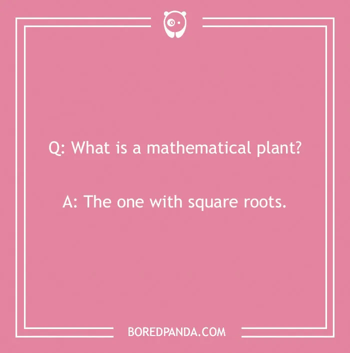 A funny school joke asking what a mathematical plant is, with the answer The one with square roots. Kids' Back to School jokes.