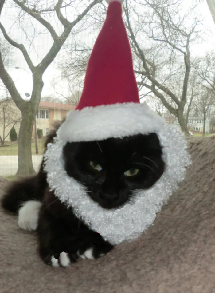 Santa Smadgie