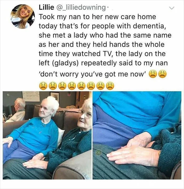 ‘Wait… This Is Wholesome’: 37 Posts To Look At If You’re Feeling Blue (New Pics)