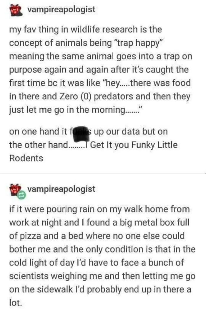 ‘Wait… This Is Wholesome’: 37 Posts To Look At If You’re Feeling Blue (New Pics)