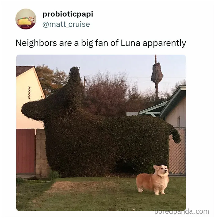 ‘Wait… This Is Wholesome’: 37 Posts To Look At If You’re Feeling Blue (New Pics)